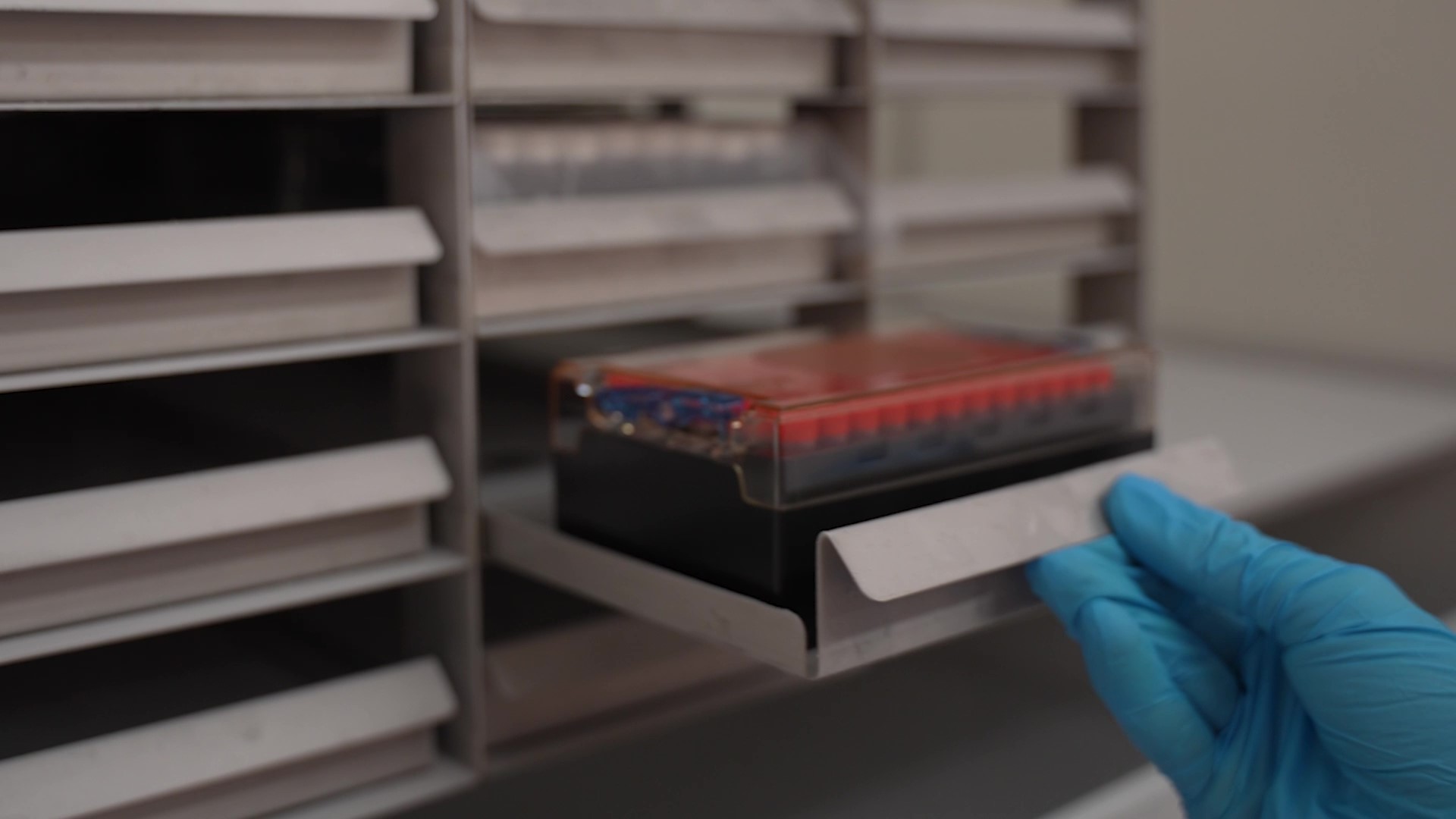 Researcher retrieving cryopreserved microbial isolates from biobank freezer storage