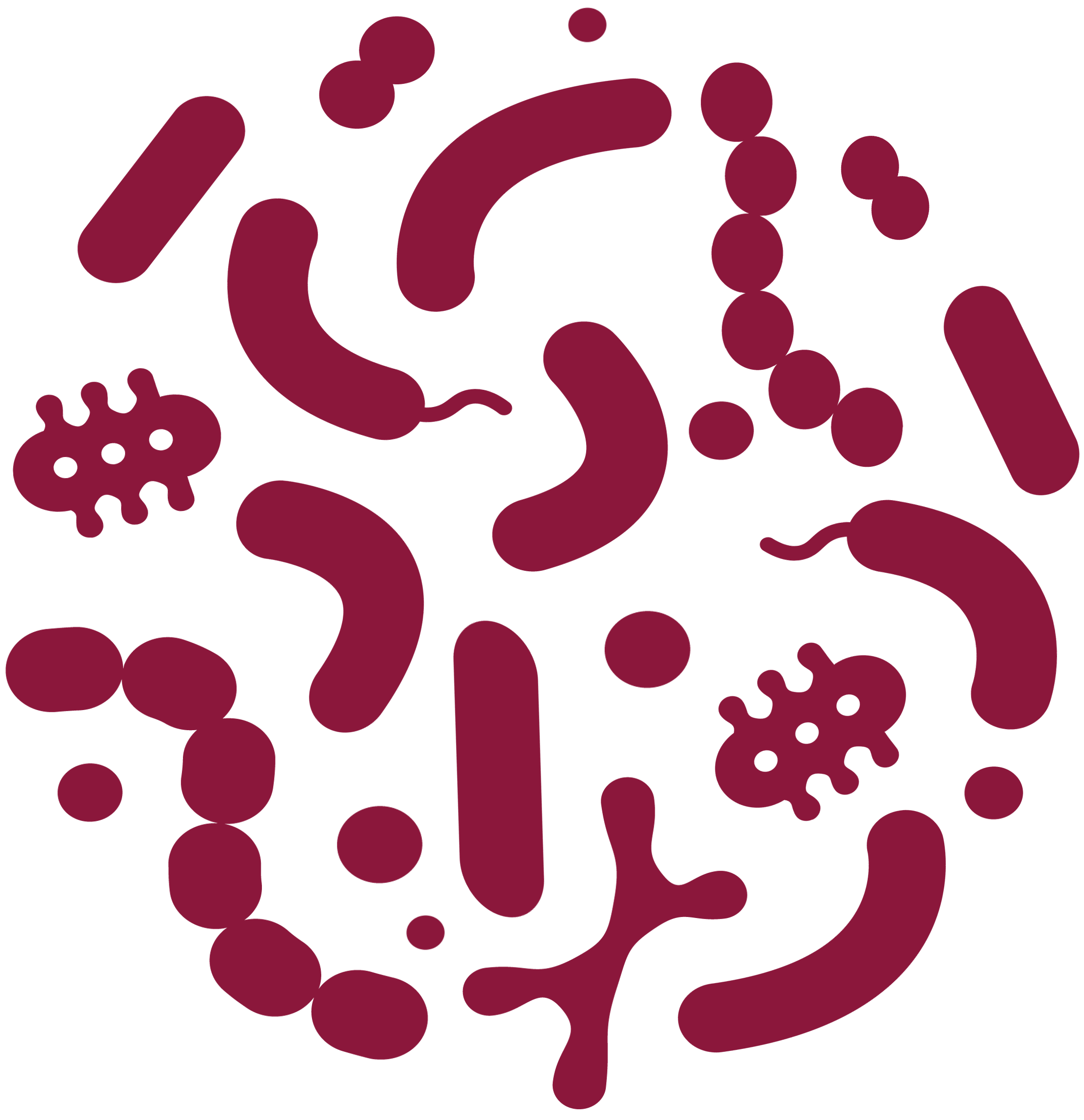 Illustrated microorganisms representing the diversity of the human microbiome