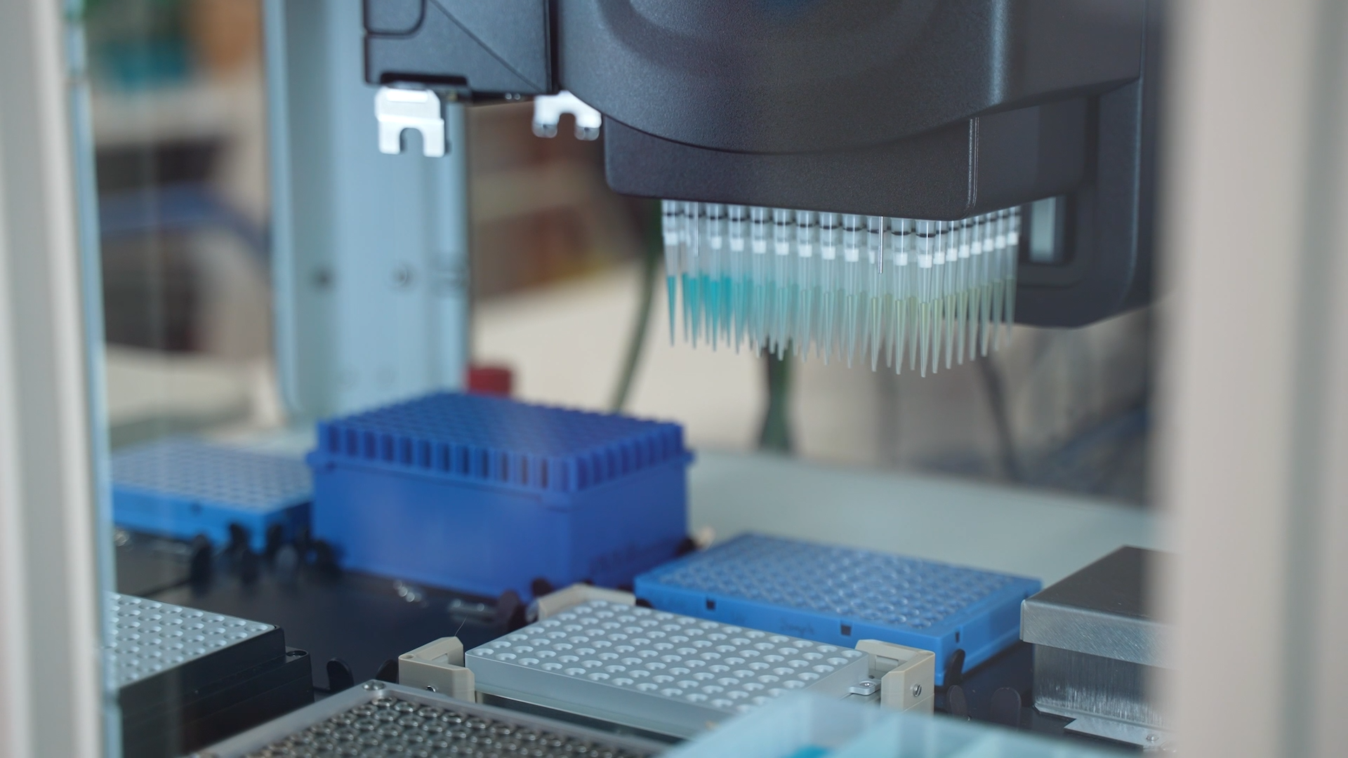 AHMB laboratory equipment at the Translational Research Institute, Brisbane