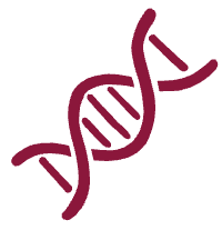 Full genomic characterisation